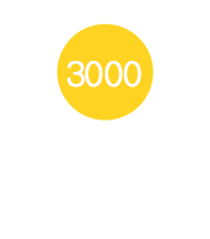Более 1000 выполненных проектов
